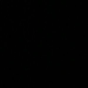 Meet your Posher, Oscar